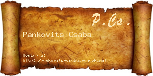 Pankovits Csaba névjegykártya
